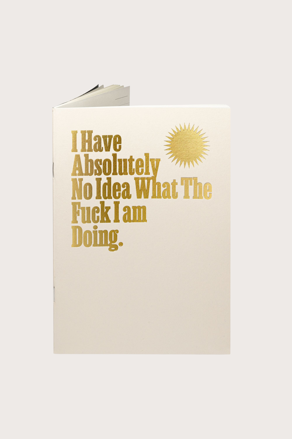 Absolutely No Idea Notebook