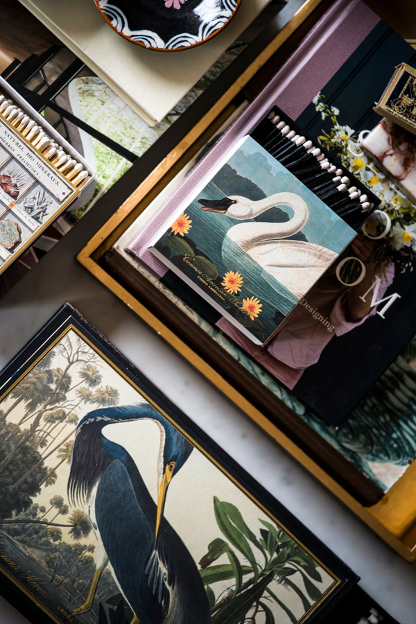 Louisiana Heron Giant Matches