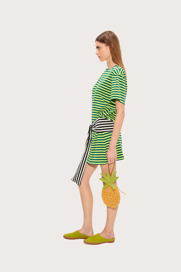 Lottie T-Shirt Dress in Lime Stripe Combo