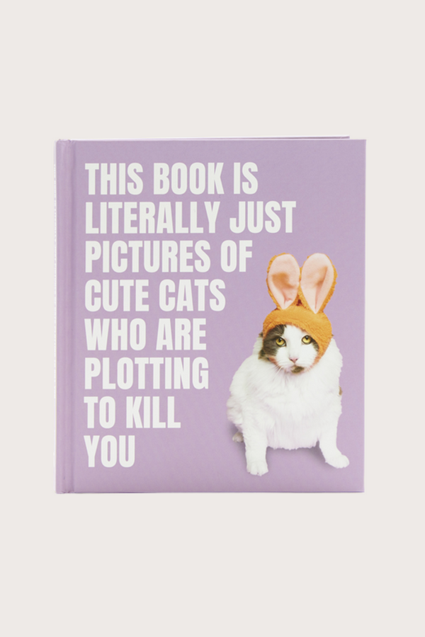This Book is Literally Just Pictures of Cute Cats Who Are Plotting to Kill You