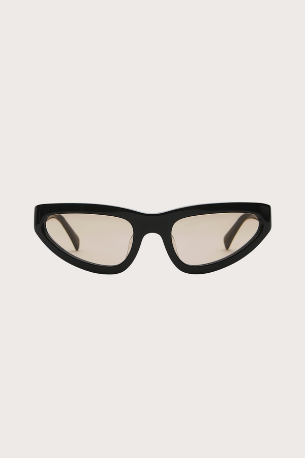 Sham in Gloss Black Brown Lens