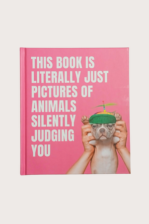This Book is Literally Just Pictures of Animals Silently Judging You