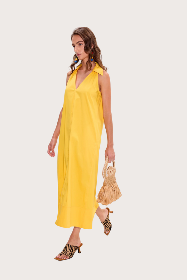 Bailar Fringe Bag