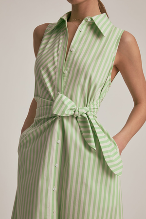 The Good Behavior Dress