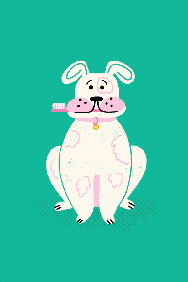 Coaching Cards for New Dog Parents