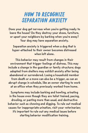 Coaching Cards for New Dog Parents