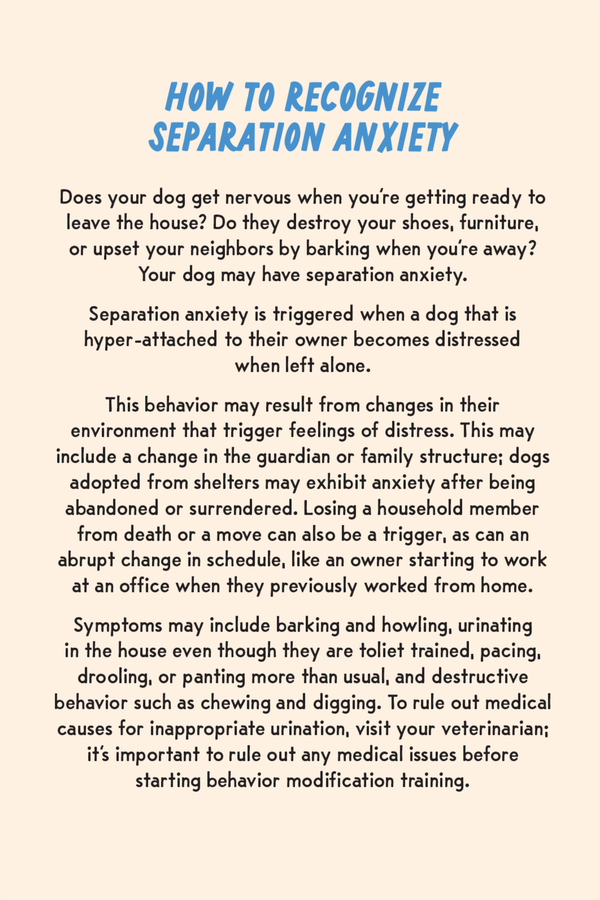 Coaching Cards for New Dog Parents