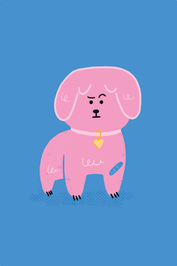 Coaching Cards for New Dog Parents