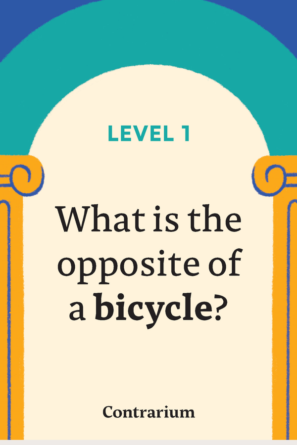 Contrarium: A Party Game Of Brain-Twisting Debates