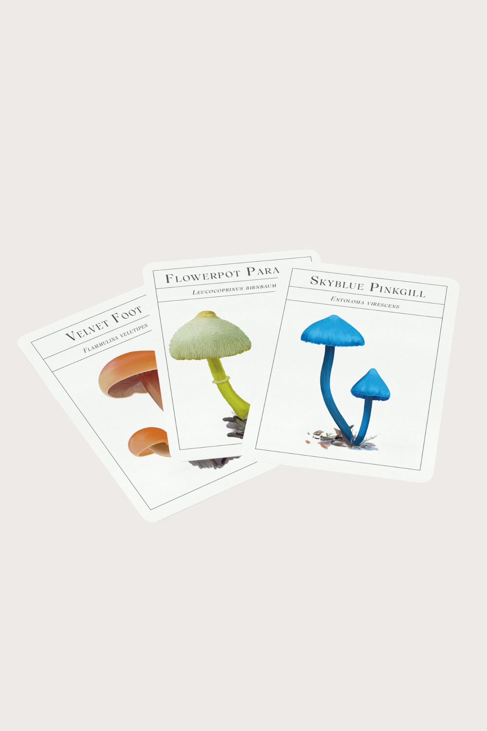 The Deck of Mushrooms Cards