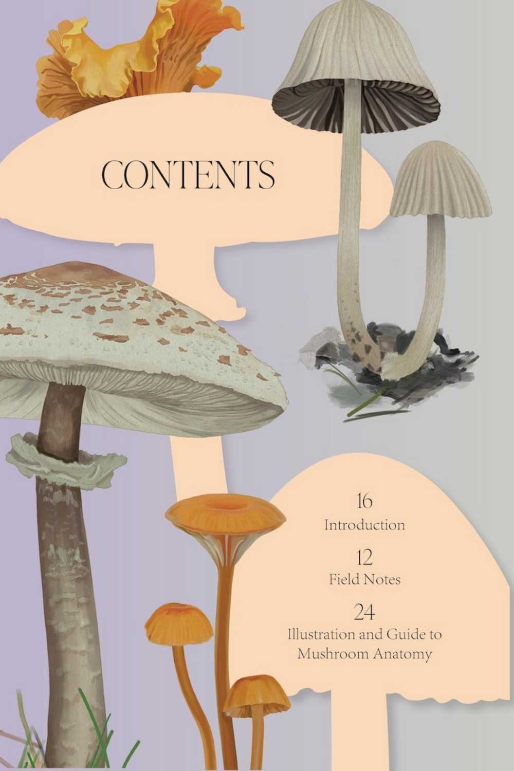 Mushroom Magic