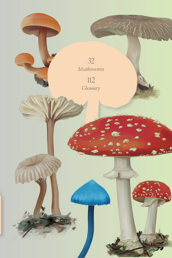 Mushroom Magic