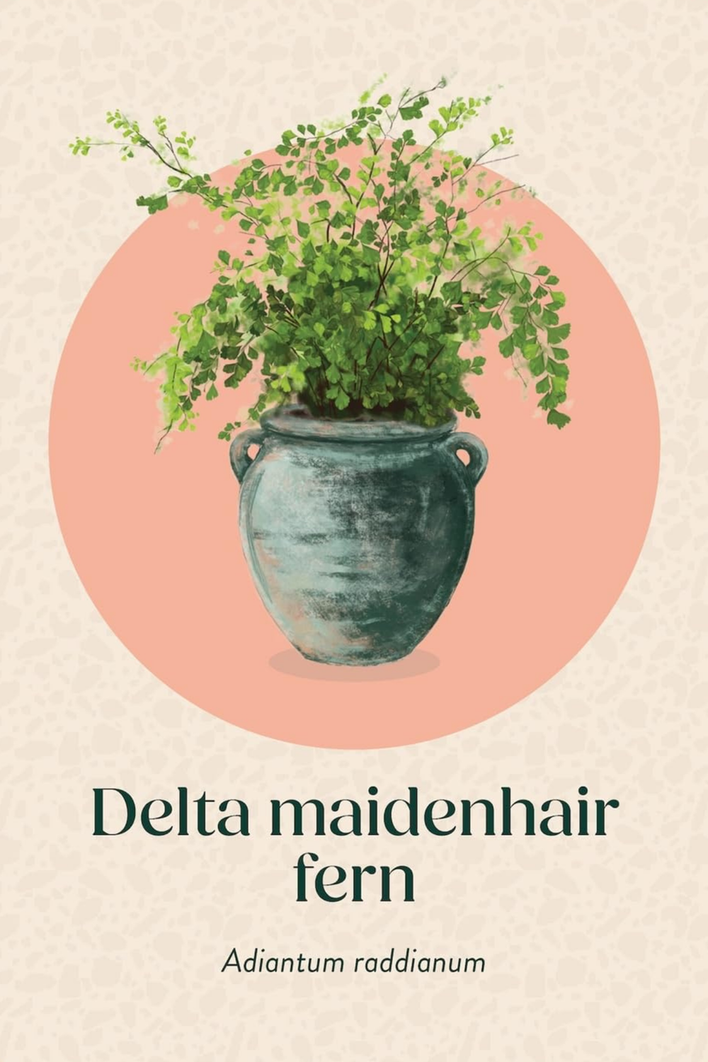 Pocket Plantcare Cards