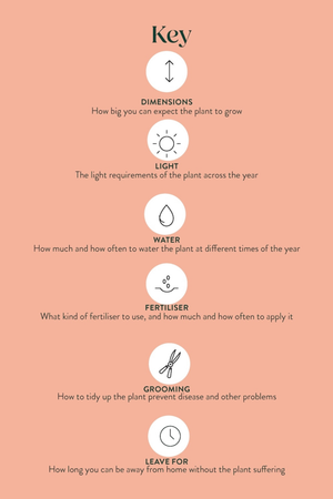 Pocket Plantcare Cards