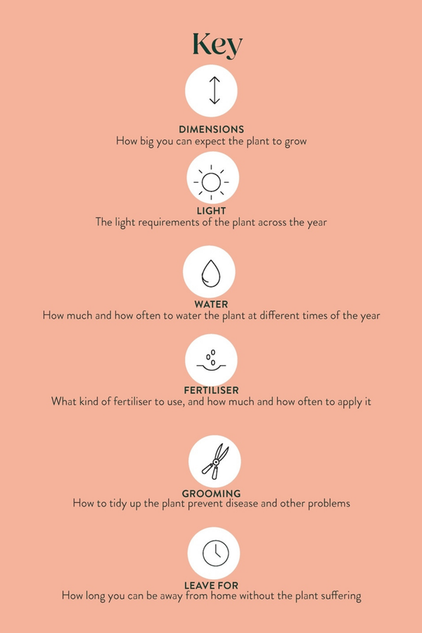 Pocket Plantcare Cards