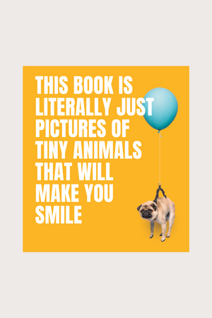 This Book Is Literally Just Pictures of Tiny Animals That Will Make You Smile