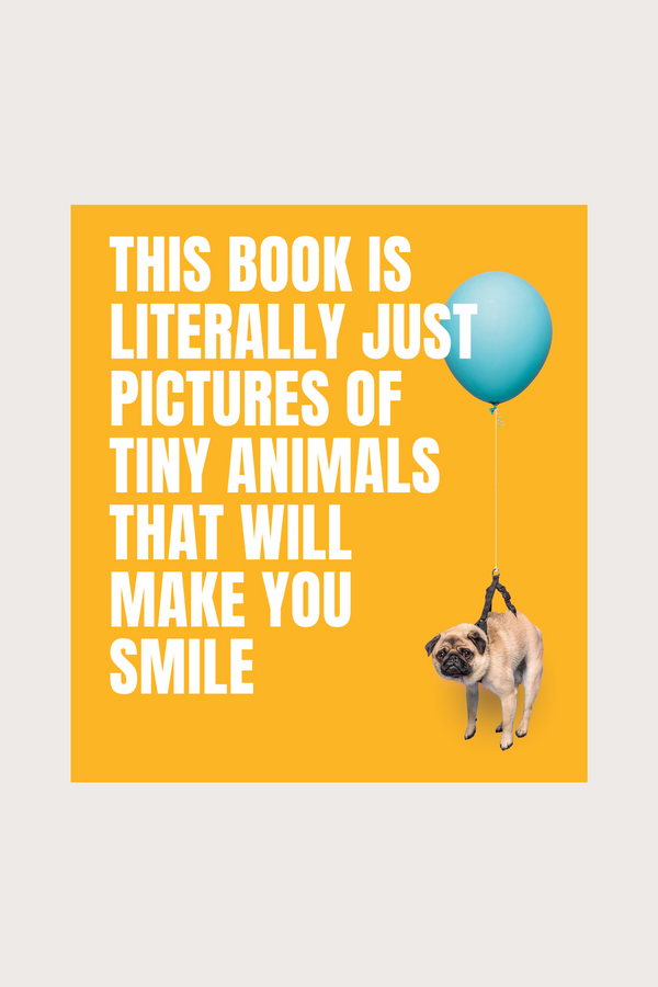 This Book Is Literally Just Pictures of Tiny Animals That Will Make You Smile